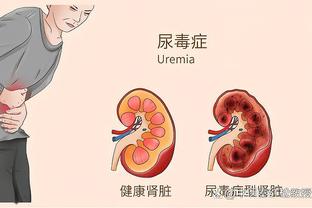 开云电竞官网首页截图1